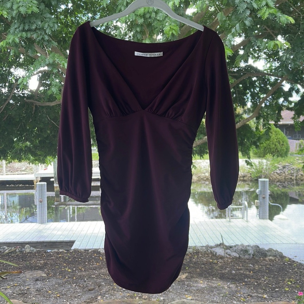 Susana Monaco Dress